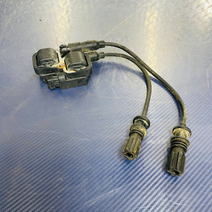 Polaris OEM 2011-2019 Ignition Coil Pack 800 850 1000 4015072